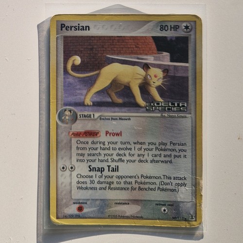 Persian delta species - persian, ex